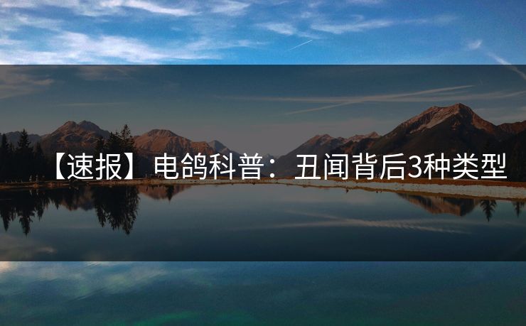 【速报】电鸽科普：丑闻背后3种类型