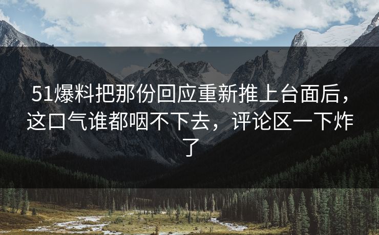 51爆料把那份回应重新推上台面后，这口气谁都咽不下去，评论区一下炸了