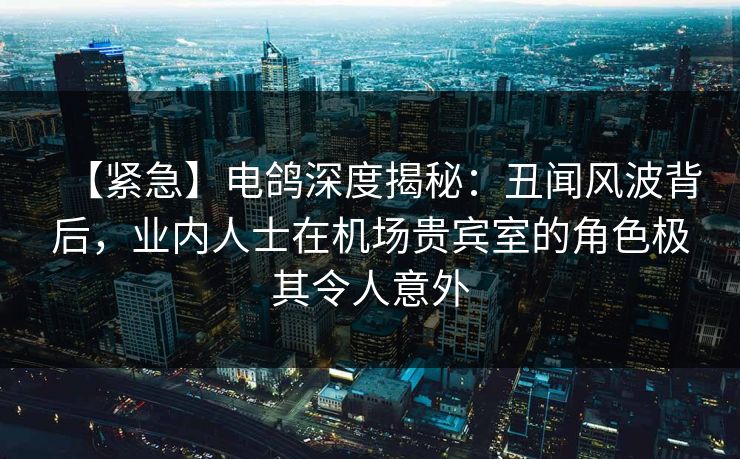 【紧急】电鸽深度揭秘：丑闻风波背后，业内人士在机场贵宾室的角色极其令人意外